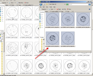 Wafer Gallery Collection